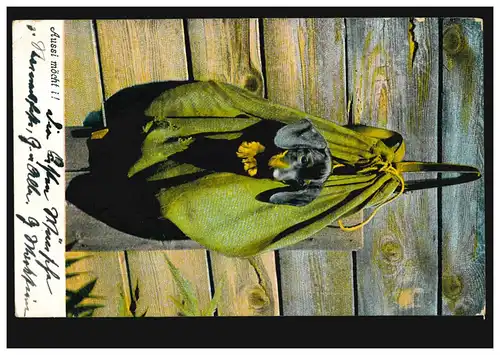 Tiere-AK Hund schaut aus Rucksack: Aussi möcht i! MÜNCHEN 24.8.04 nach TEGERNSEE