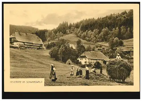 Foto-AK Heuernte im Schwarzwald, ungebraucht, um 1907