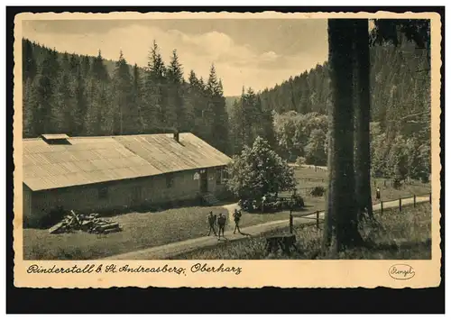 Foto-AK Rinderstall bei Sankt Andreasberg / Oberharz, ungebraucht, um 1920
