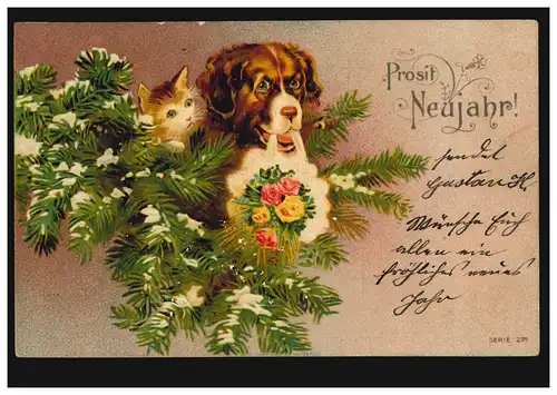 Animaux AK Chien et Chat veulent prosit Nouvel An, WILHELMSHAVEN 31.12.1904