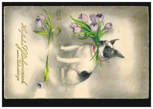 Animaux AK B. Hannes Petersen: Le chien apporte des fleurs d'anniversaire, WALSRODE 3.7.1930