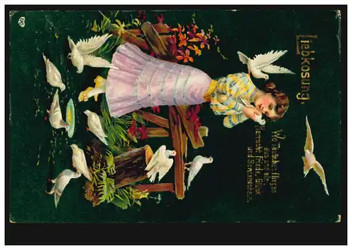 Liebkosung animal-AK - La Mère des Pigeons, RAVENSBURG 20.1.1909