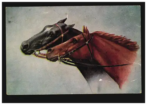 Animaux AK Deux têtes de cheval - Braun et rappe, inutilisé vers 1920