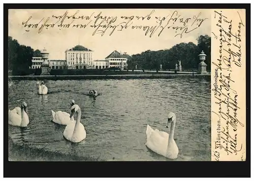 Tiere-AK München Nymphenburg Teich mit Schwänen, 7.10.1904 nach SCHWABACH 8.10.