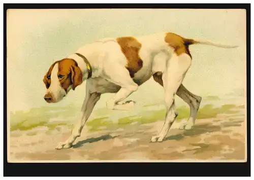 Animaux-AK Le chien de chasse, édition Meissner & Livre Leipzig, inutilisé vers 1920