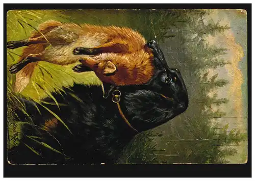 Animaux AK chien a été accroché à Renard tué, HANNOVER 26.9.1918