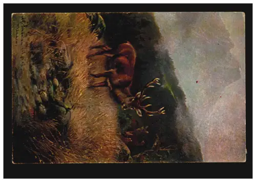 AK d'animaux jeunes cerfs, VIE DE NOUVEAUX ÂGE 14.12.1937