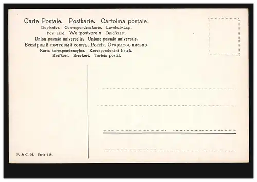 Animaux AE Oiseaux - Paire de perdrix avec poussins dans le champ, inutilisé vers 1910