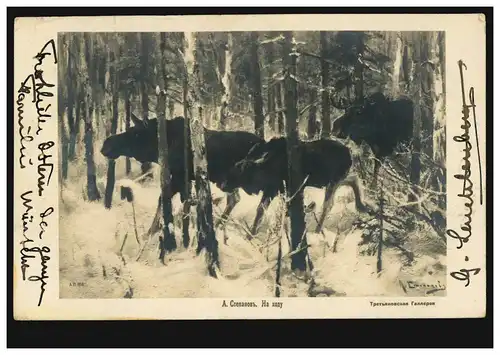 Russische Tiere-AK Drei Elche im Wald zur Winterzeit, 1903 nach MÜNCHEN