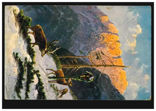 Tiere-AK Hirsche zur Winterzeit im Gebirge, NEUBURG / DONAU 24.5.1905