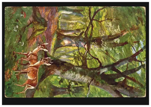 AK Splitgerber: Animaux - Rehbock et Rech dans les bois, DINSLAKEN 14.8.1911