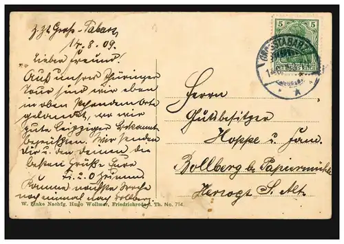 Tiere-AK Hirsche im Gehege im Thüringer Wald, GROSSTABARZ 14.8.1909