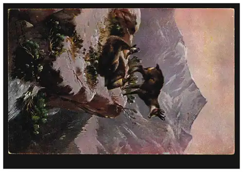 Animaux AK Trois Gemsen dans la montagne, inutilisé, vers 1920