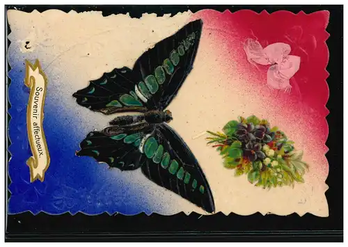 Carte de pré-plant animaux: papillon / papillons, inutilisé vers 1910