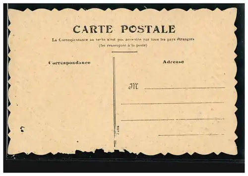 Carte de pré-plant animaux: papillon / papillons, inutilisé vers 1910