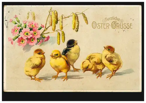 Prägekarte Tiere: Fünf Oster-Küken mit Weidekätzchen, GERA (Reuß) 5.4.1912