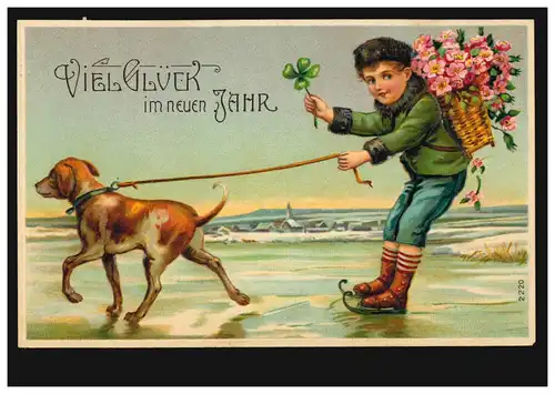 Prägekarte Tiere: Hund zieht Jungen mit Schlittschuhen übers Eis, BURSCHEID 1909