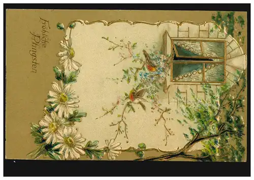 Carte de pré-plant animaux: oiseaux - oiseau-jardin devant la fenêtre ouverte, couru 3.6.06