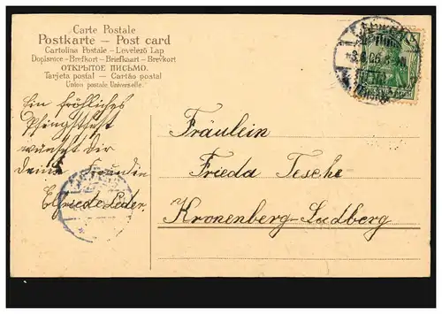 Carte de pré-plant animaux: oiseaux - oiseau-jardin devant la fenêtre ouverte, couru 3.6.06