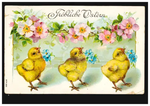 Prägekarte Tiere: Drei Küken mit Veilchen, FRANKFURT/MAIN 1 ss 17.4.1908