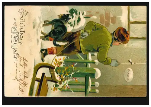 Carte de pré-plant Animaux: Chat malade visite Dr. Kater au Nouvel An, couru vers 1905