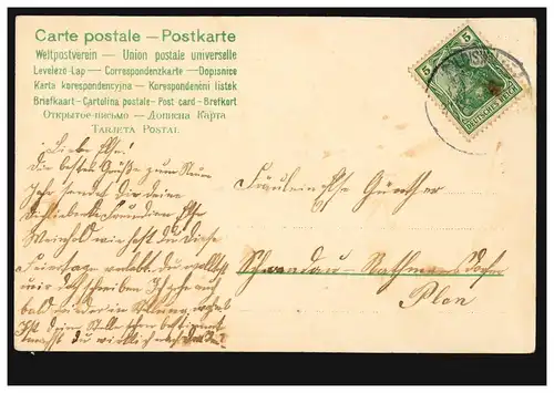 Carte de pré-plant Animaux: Chat malade visite Dr. Kater au Nouvel An, couru vers 1905