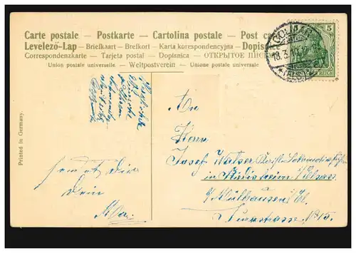 Prägekarte Tiere: Vögel - Schwalbe Dorfidylle Veilchengirlande, COLMAR 18.3.1910