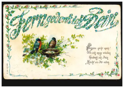 Carte de pré-plant animaux: oiseaux - couple de coiffes avec nid plein d'œufs, inutilisé vers 1905