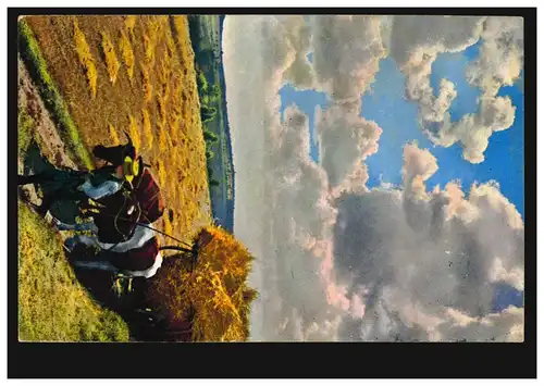 Animaux-AK Taches de bœufs à la récolte des céréales, BERLIN SW 68r 31.7.1912