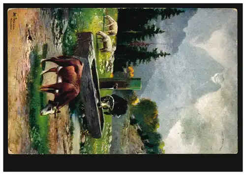 Animaux-AK vaches sur l'alpage à l ' abreuvoir, UETERSEN (HOLSTEIN) 2.12.1909