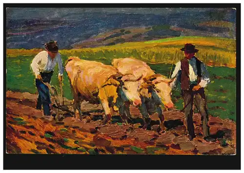 AK V. Maly: Ackern - Enchaîné à bœufs pendant labour, inutilisé, vers 1920