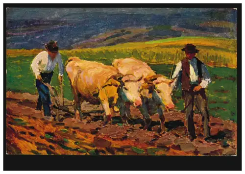 AK V. Maly: Ackern - Enchaîné à bœufs pendant labour, inutilisé, vers 1920