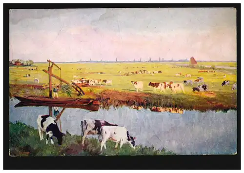 Pays-Bas Artiste-AK Wolter: Prairie chez Schiedam vaches, inutilisé