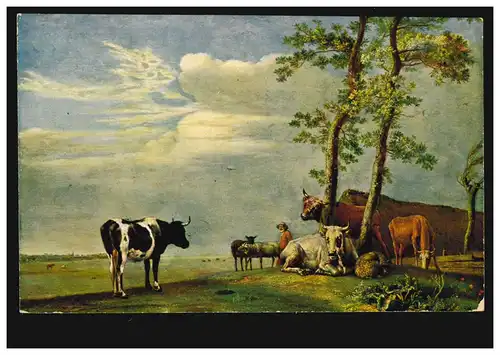 AK Artiste Paul Potter: vaches sur le pâturage, inutilisé vers 1920
