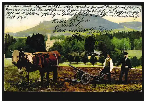 AK Le parc du château de Fischbach avec les Falkenbergen, BERNBURG 13.4.1907