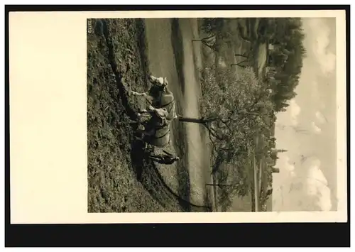 Foto-AK Tiere: Ochsengespann bei der Arbeit, gelaufen 2.7.1942