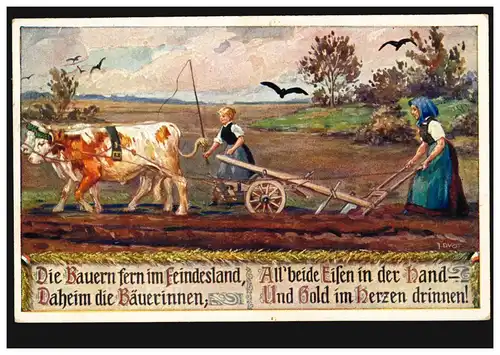 AK Ochsengespann beim Pflügen, ungebraucht, mit Propaganda-Text 1914/1918