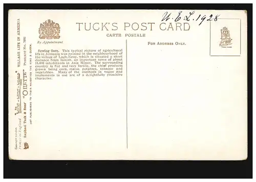 AK Arménie: homme et femme en semant à la main des bovins non utilisés