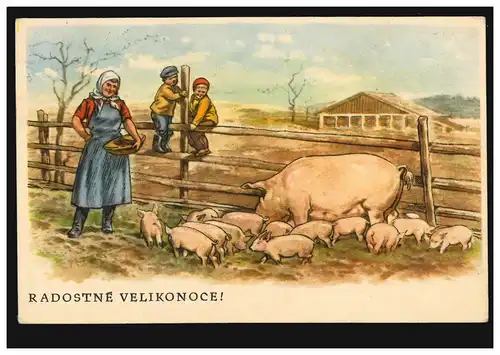 Künstler-AK V. Michala. Schwein mit Ferkeln auf dem Bauernhof, gelaufen um 1930 