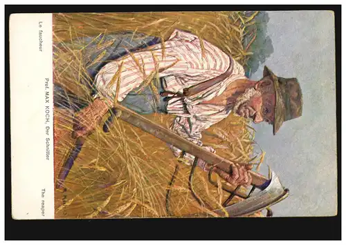 AK Artiste M. Koch: Le moissonneur - Au cours de la récolte des céréales, inutilisé, vers 1920