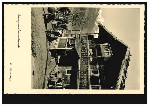 Österreich Foto-AK Pinzgauer Bauernhaus mit Kühen, ungebraucht, um 1930