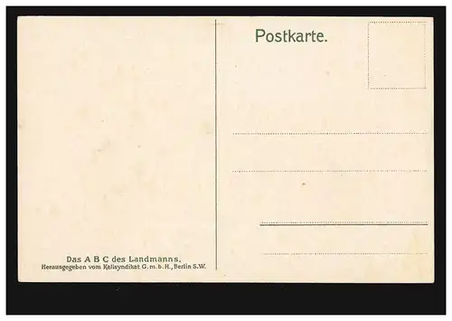 AK publicitaire pour le potassium et le phosphate: lors de la récolte de betteraves, inutilisé vers 1920