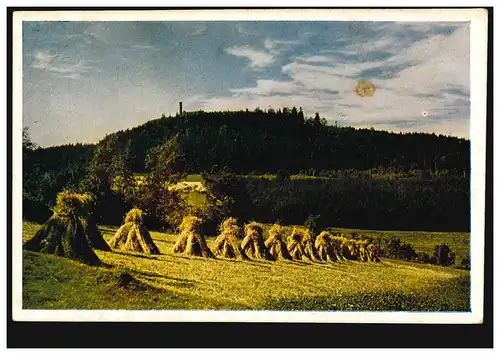 Paysages allemands: les cigares à céréales à la lumière du soleil, inutilisé