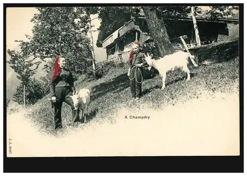 Suisse AK A Champery: ferme avec chèvres, colorées et non utilisées vers 1910