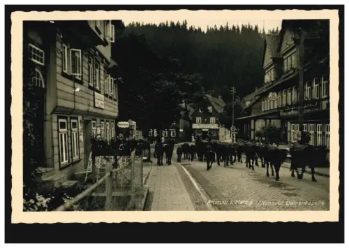 Photo AK Altenau dans la résine AltENAUER Chapelle dames troupeau de bovins, inutilisé vers 1930