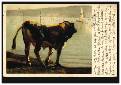 Artiste-AK Rudolf Koller: Étude Taureau à taches noires, GENF 13.12.1922