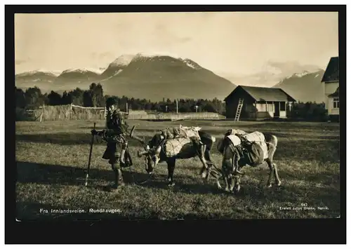 Norwegen Foto-AK Rundhaugen: Same mit seinen Rentieren, NARVIK 25.8.1938