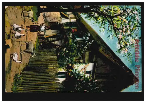 Künstler-AK: Bauernhof mit Gänsen Schaf und Ziege, BERLIN-FRIEDENAU 30.5.1914