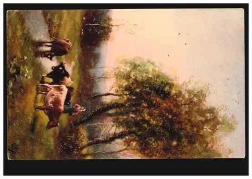 AK Paysage Sidylle bétail de bétail NOUVEAU-PETERSHAIN (N.-LAUSESE) 18.12.1923