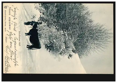 AK Paysagiste Idyll: paysan avec vache en hiver, HEIDEN 31.12.1904